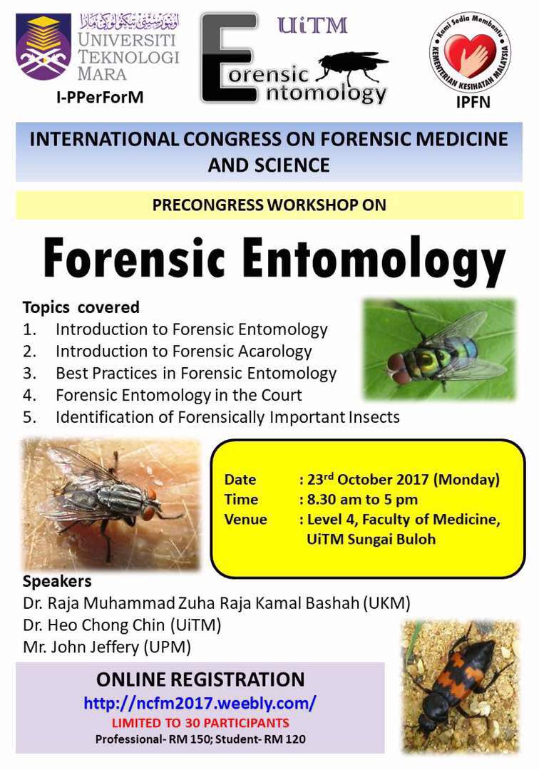forensic entomology study guide